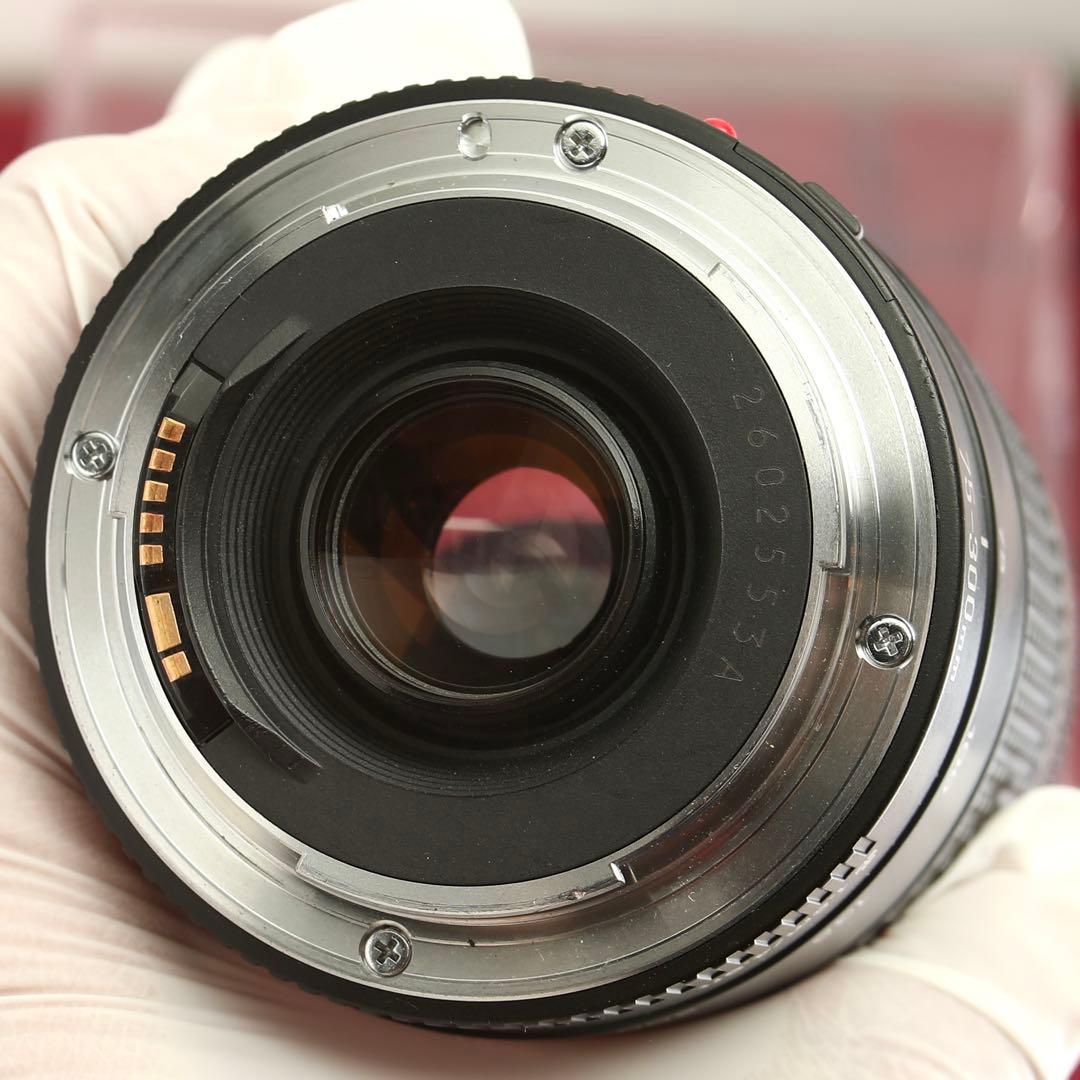 【完動品】Canon EF 75-300mm f/4-5.6 Ⅲ USM