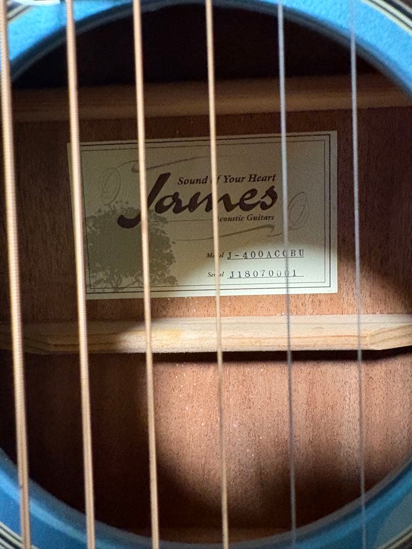 エレアコ アコースティックギター James J-400ACCBU