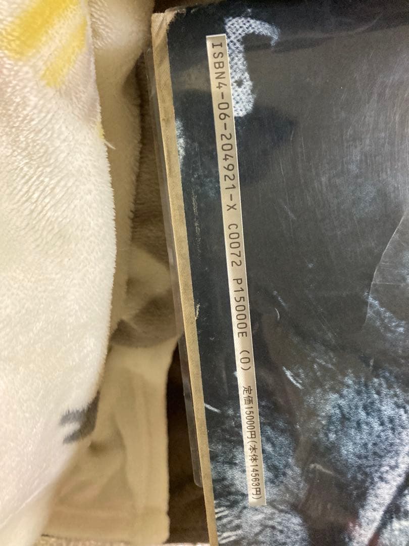 インディア・ハンザワ 写真集