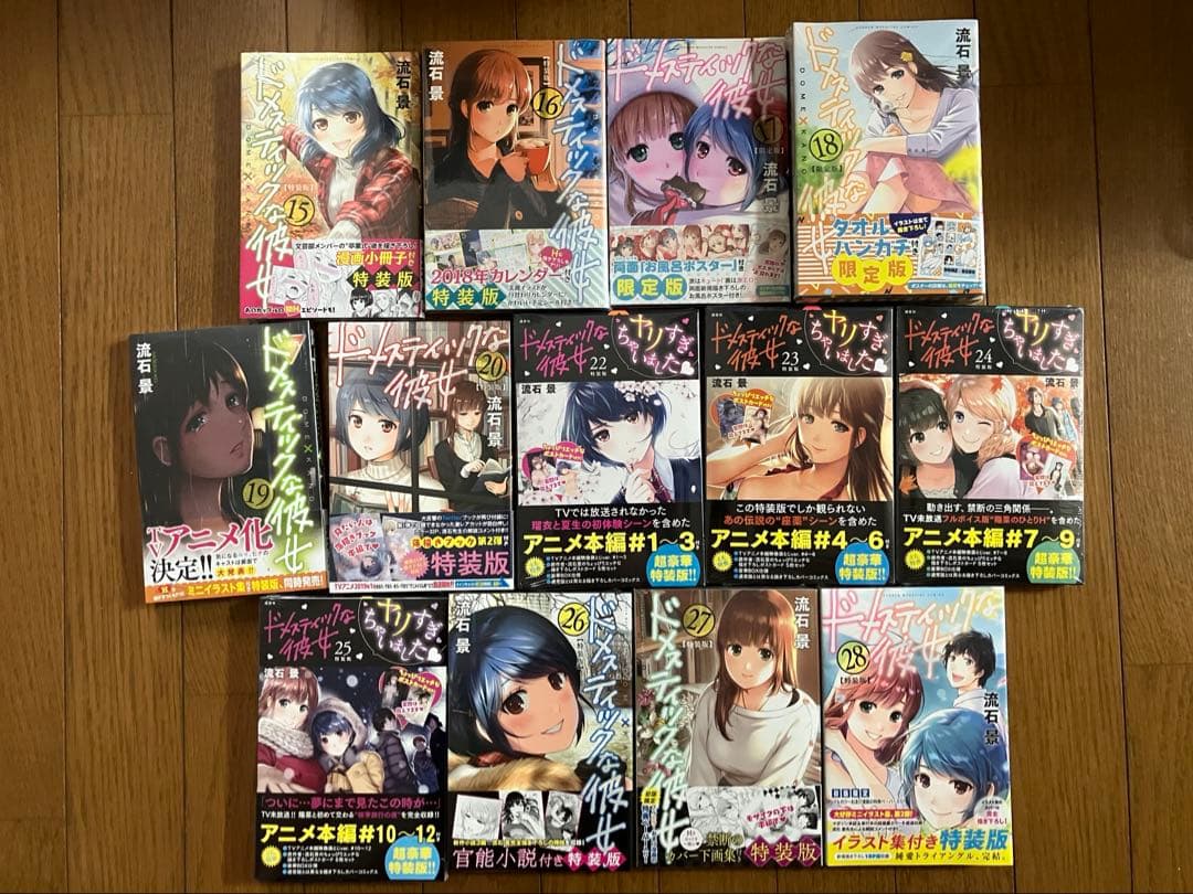 ドメスティックな彼女　全巻セット　特装版　未開封