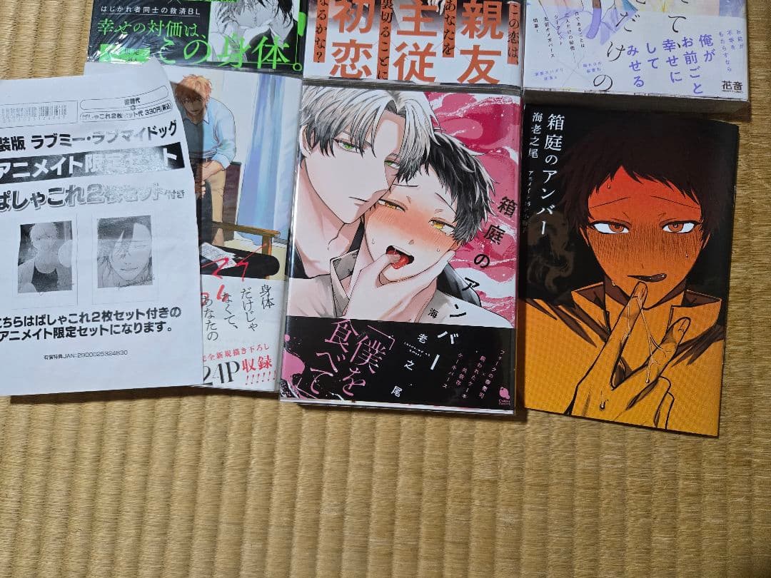 BLコミック まとめ ② ❤新品購入品のみ❤️ 全11冊