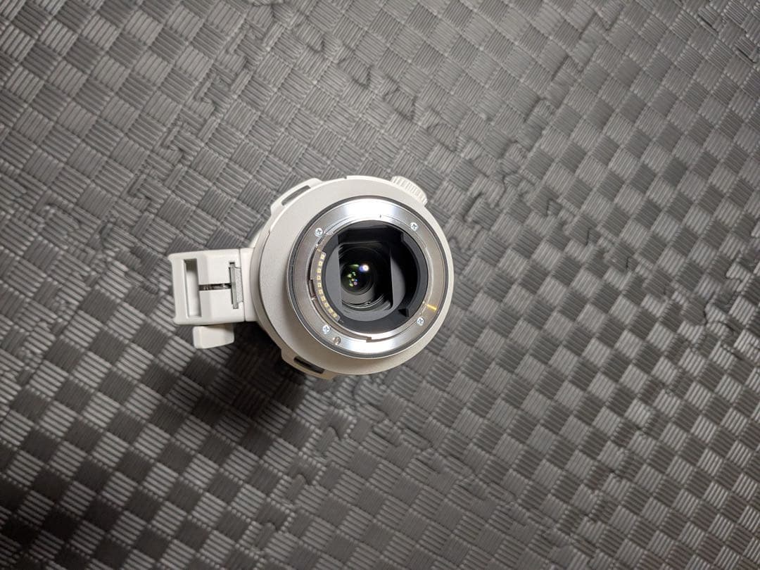 SONY FE 200-600mm F5.6-6.3 G OSS 美品