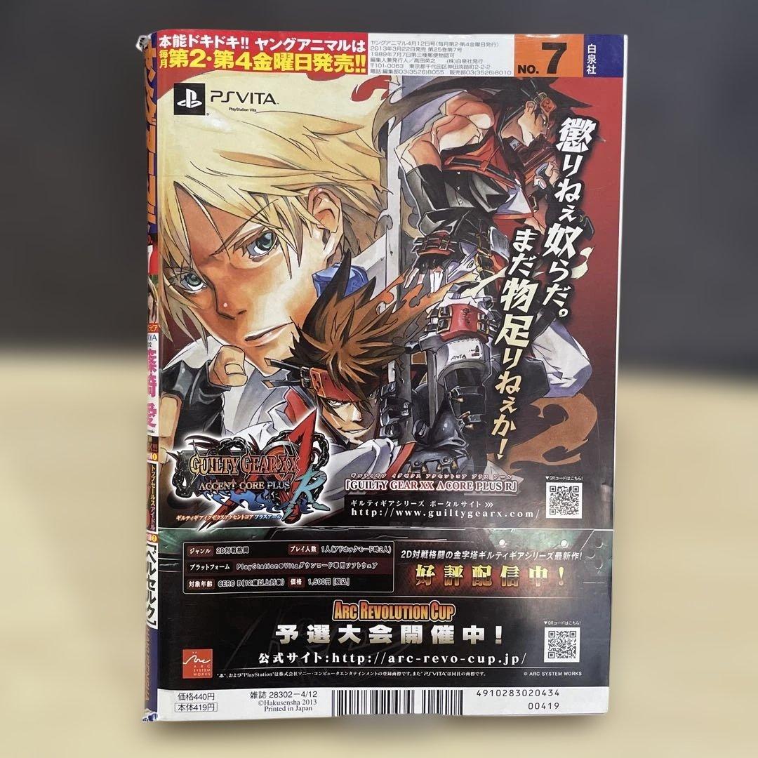 ヤングアニマル 2013年7号 篠崎愛 ベルセルク37巻別カバー未切 DVD付き