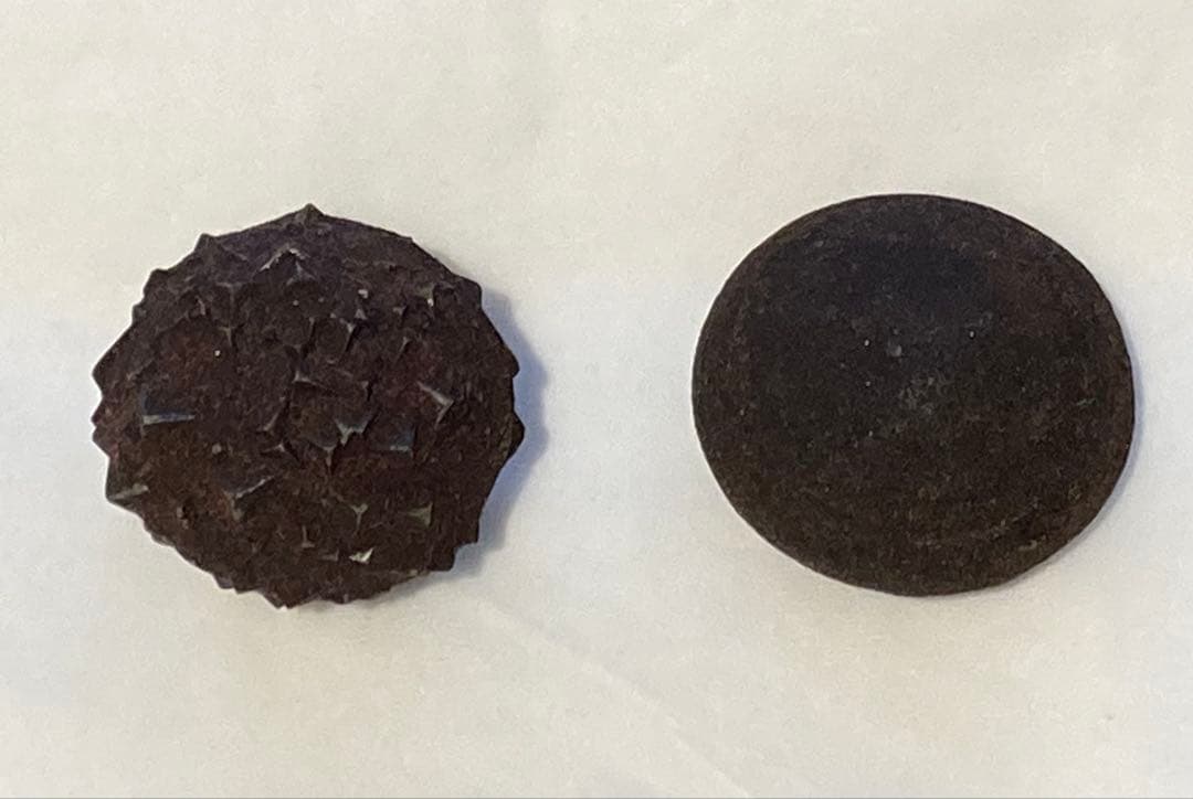 ボージーストーンBoji Alive STONES 2個セット - メルカリ