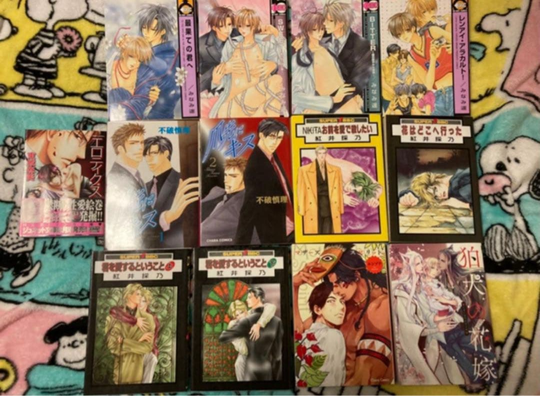 BL漫画 24冊 まとめ売り 東野海 英田サキ 水名瀬雅良 《即決不可》