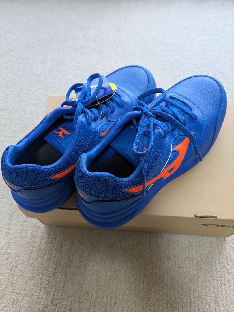 27.5cm EEE ミズノ　安全靴　オールマイティLS