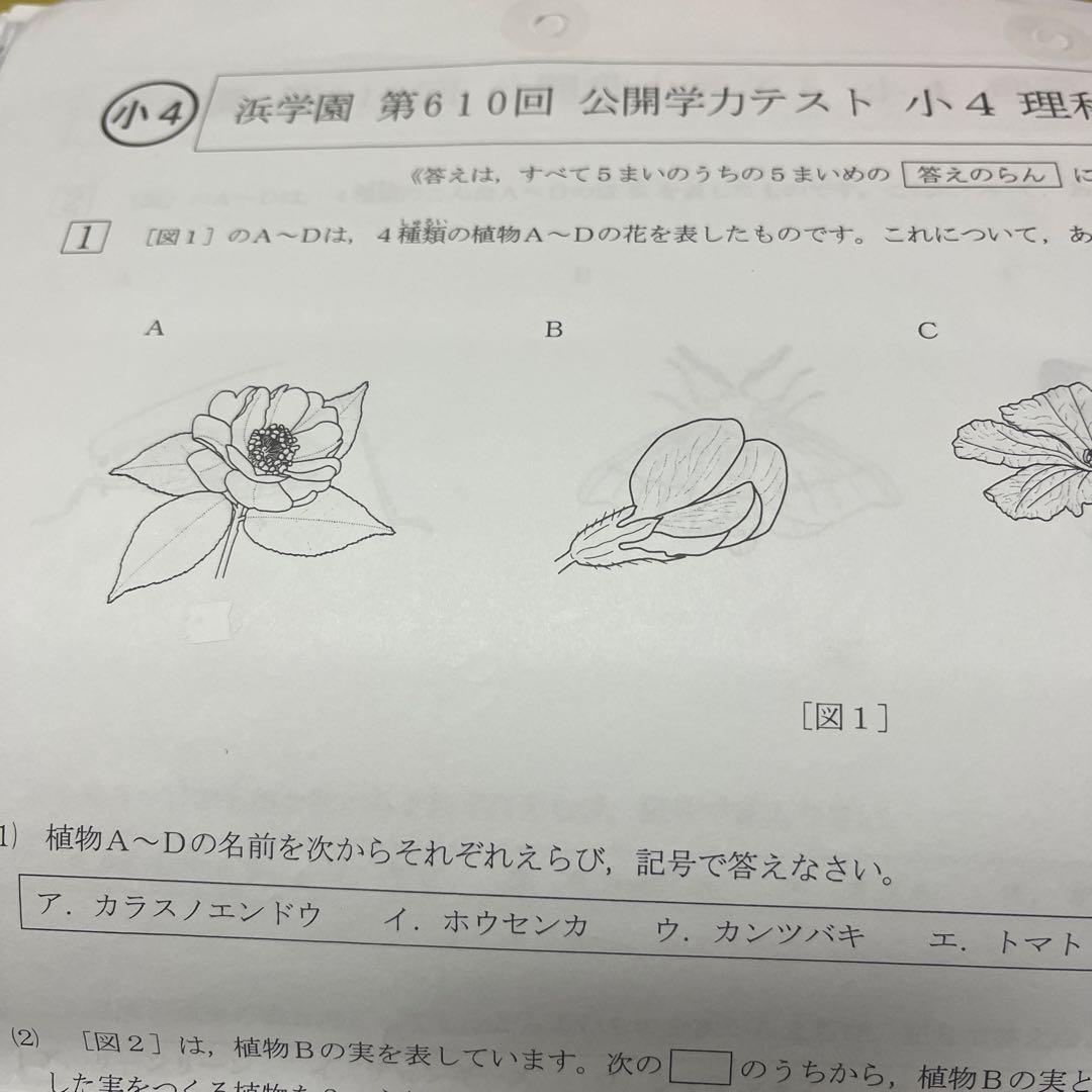 2023年度 浜学園小4 公開学力テスト 3教科 - メルカリ