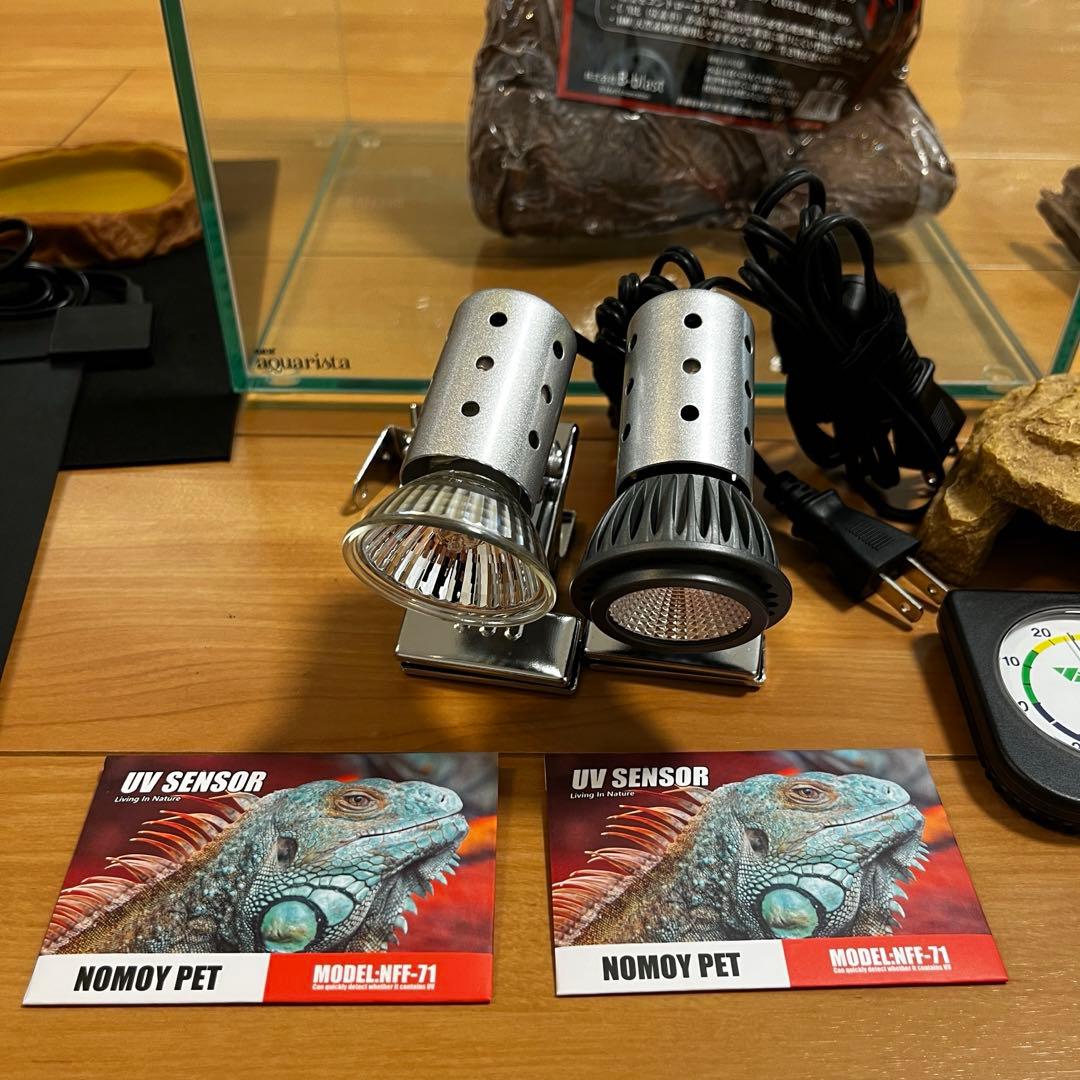 爬虫類 飼育セット11点 カナヘビ ニホントカゲ - メルカリ