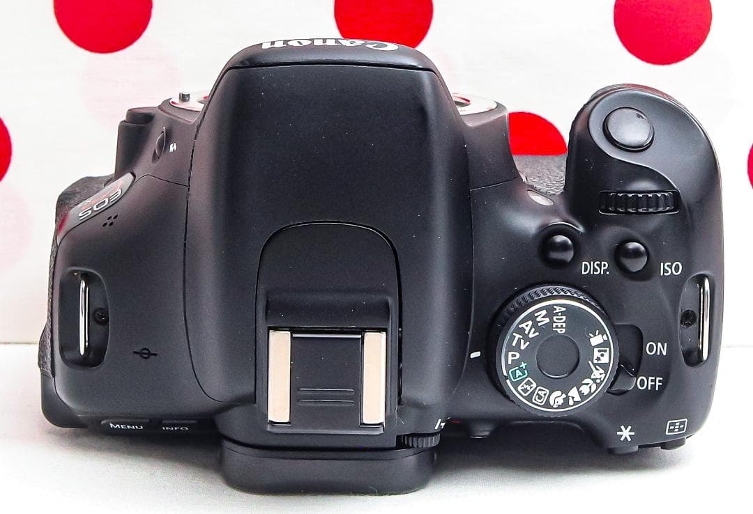 超望遠ダブルレンズ❤Canon kiss x5❤スマホ転送❤あらゆるシーンに