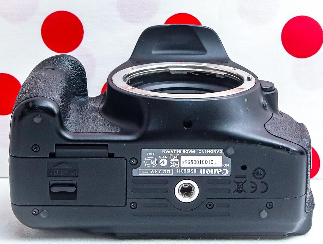 超望遠ダブルレンズ❤Canon kiss x5❤スマホ転送❤あらゆるシーンに