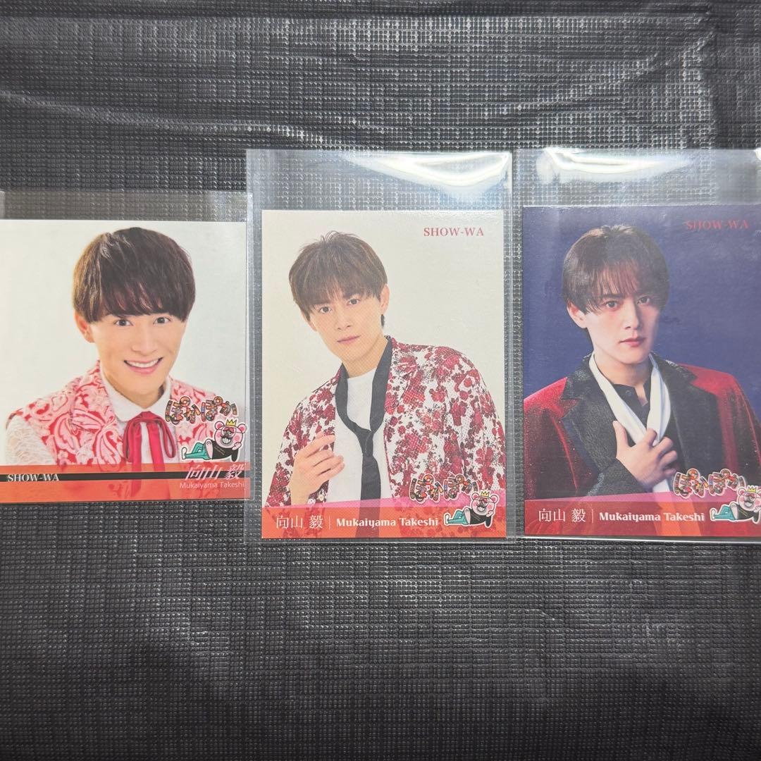 SHOW-WA 向山毅 ぽかぽか ステッカー - メルカリ