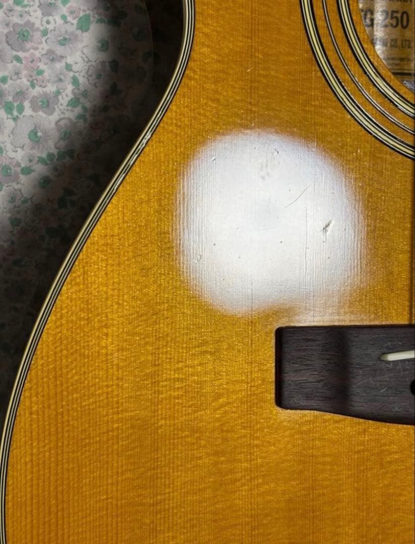 程度上々❗️YAMAHA ヤマハ FG-250 グリーンラベル アコギ 調整済