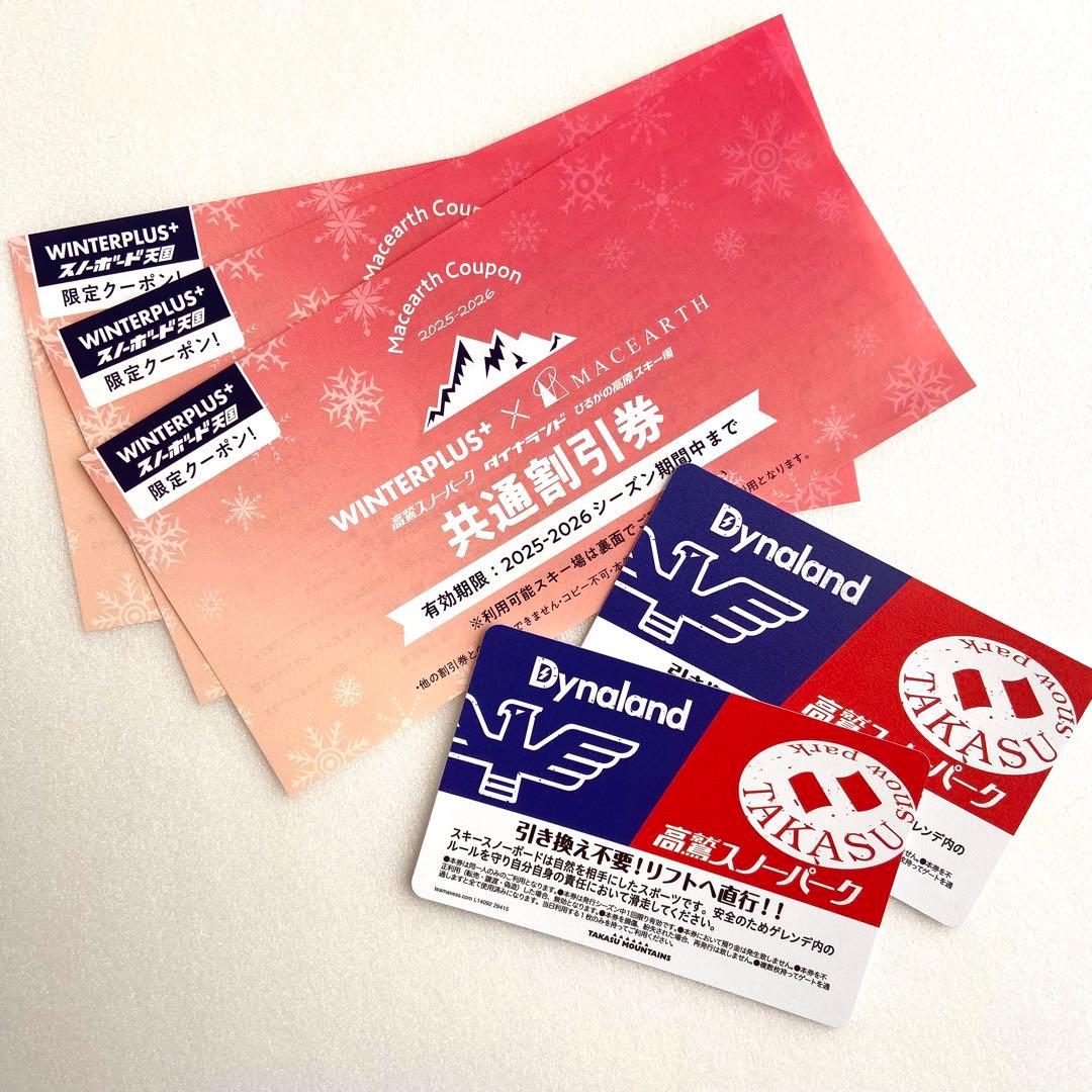 ダイナランド・高鷲スノーパーク共通 1日引換券 2枚（共通割引券付き