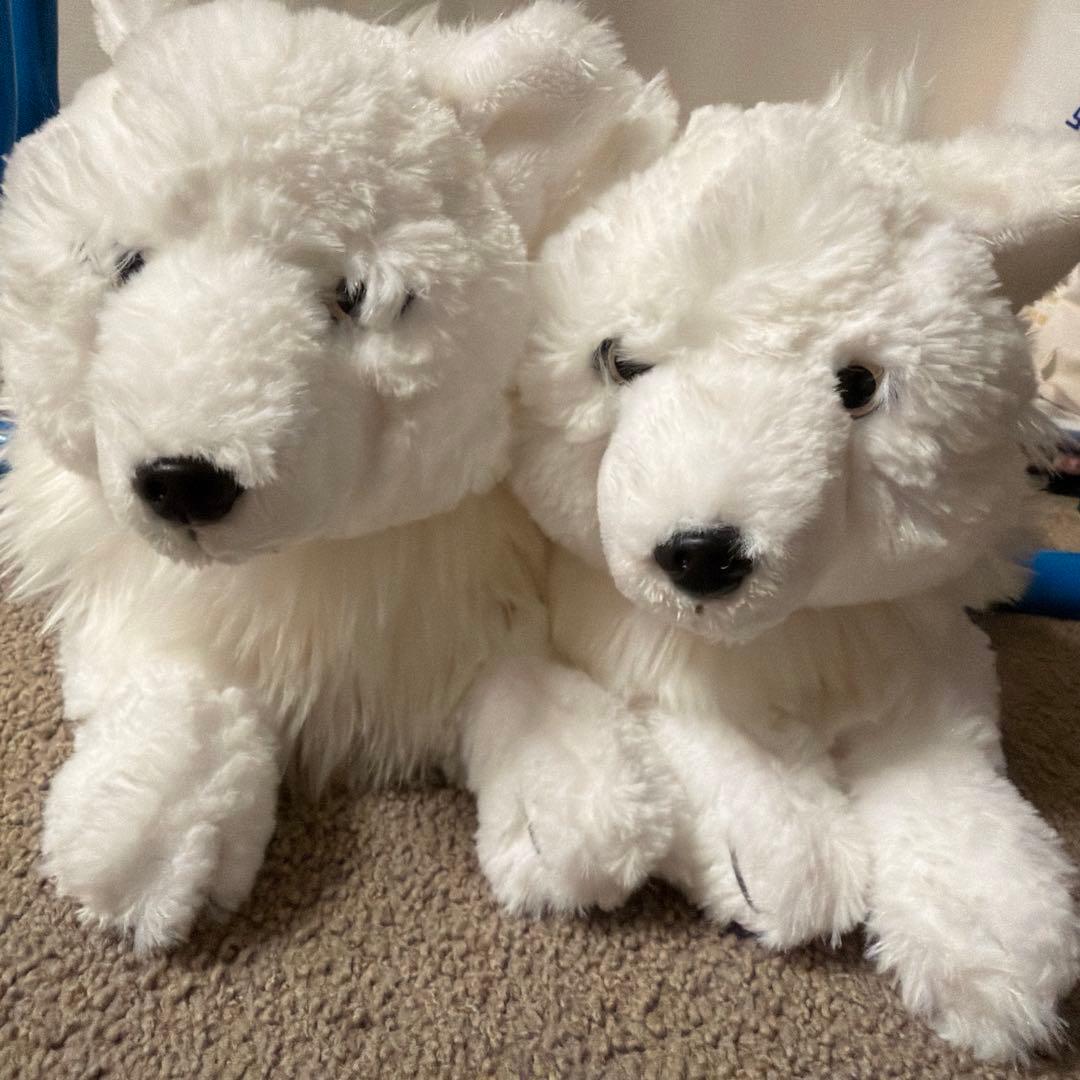 那須どうぶつ王国 限定 ひざおおかみ ホッキョクオオカミ S ぬいぐるみ 2個 Amazon.co.jp: ひざおおかみ ホッキョクオオカミ 那須王国 サンレモン