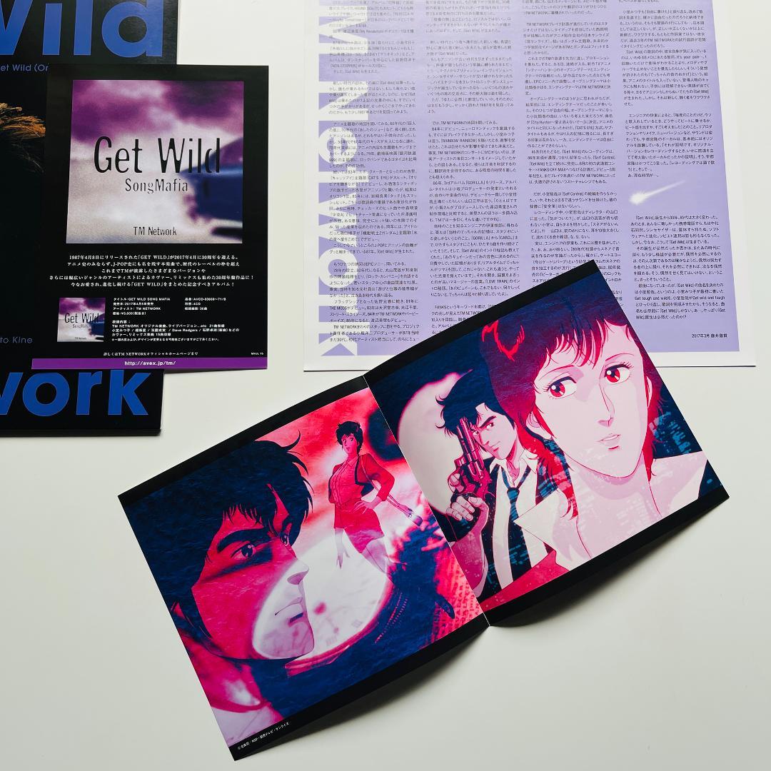 稀少限定盤 レコード TMネットワーク Get Wild TM NETWORK - メルカリ
