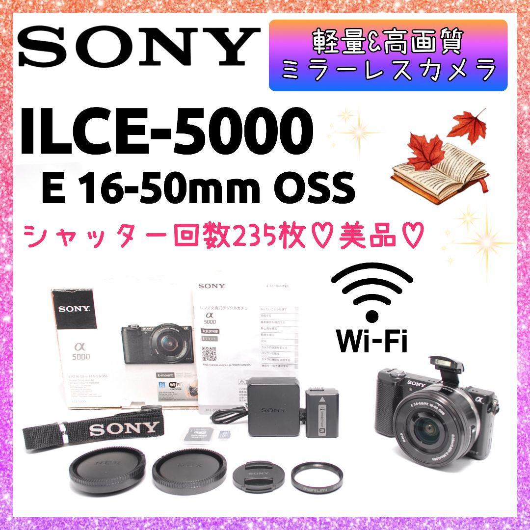 ❤即購入1000円OFF❤美品❤ SONY α5000 ショット数235枚✨ α5000 | デジタル一眼カメラα（アルファ） | ソニー