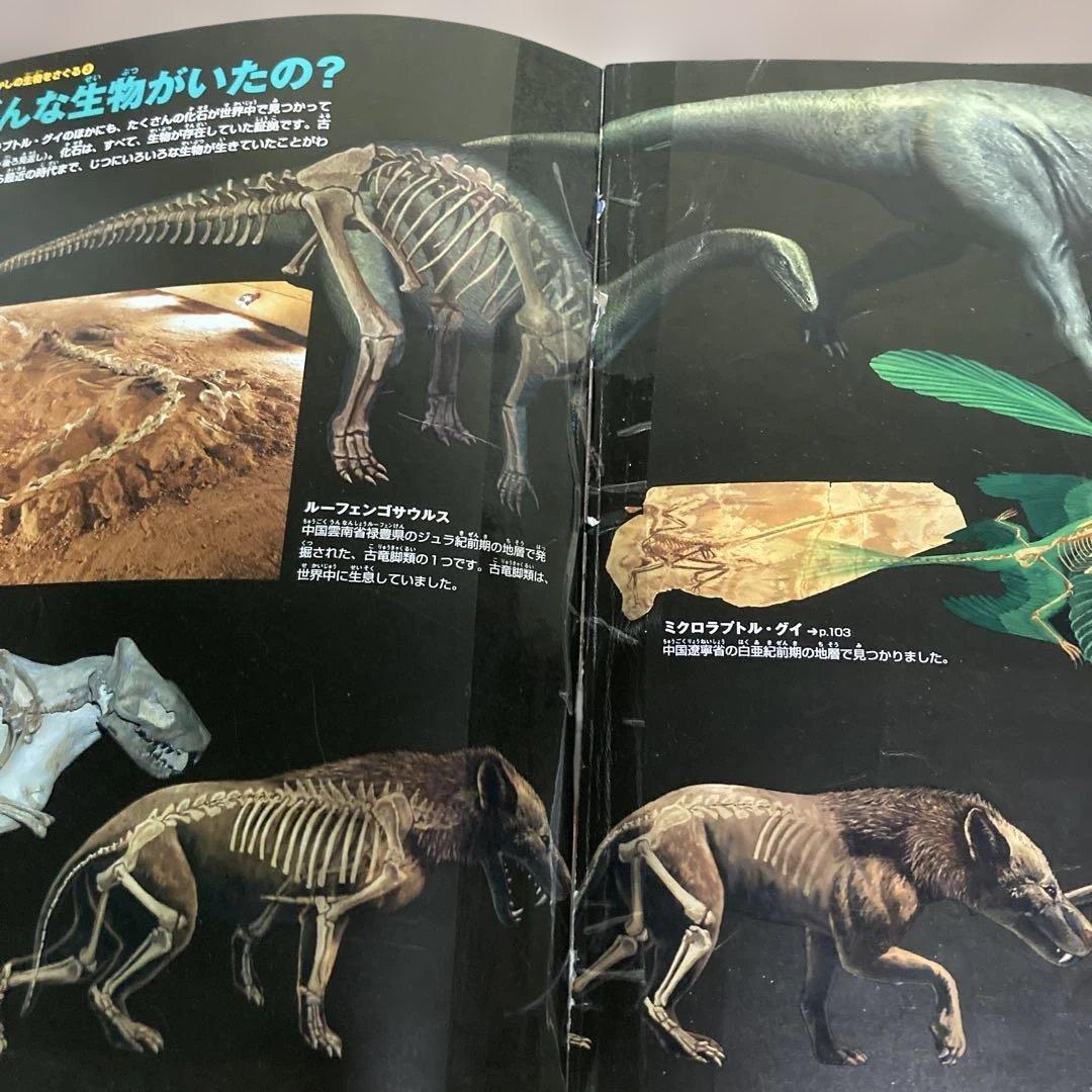 小学館の図鑑】NEOシリーズ13冊セット① - メルカリ