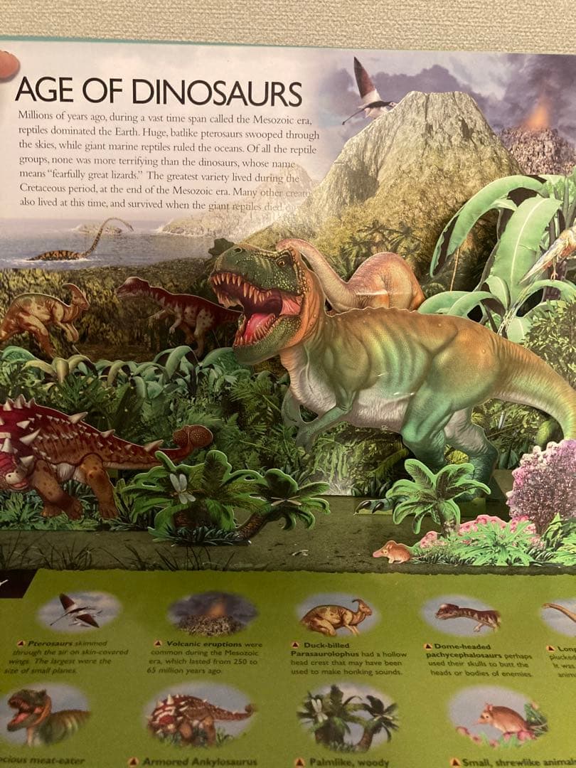 洋書多読 図鑑など7冊 恐竜 鉱物 古生物encyclopedia 人体 - メルカリ