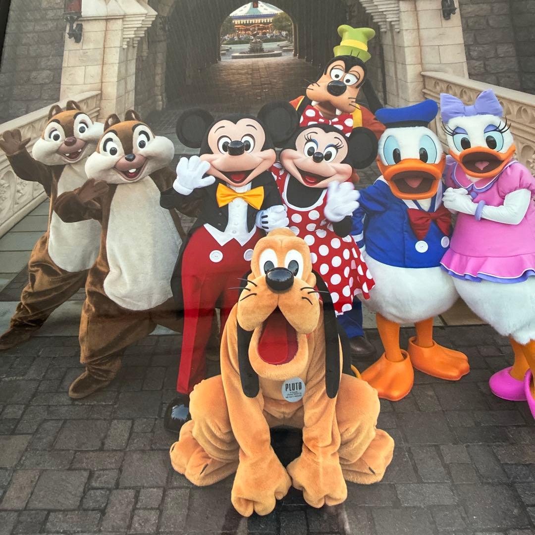 ディズニー イマジニングザマジック 実写 フォトパネル ポスター 額入り