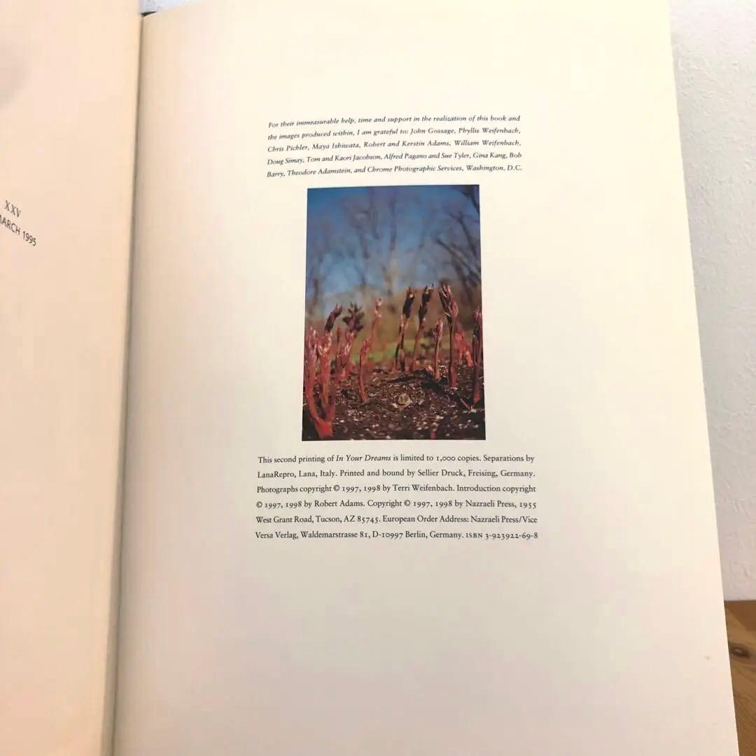 IN YOUR DREAMS／TERRI WEIFENBACH 写真集