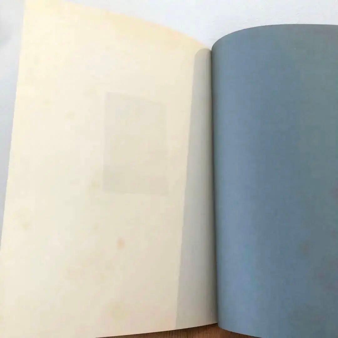 IN YOUR DREAMS／TERRI WEIFENBACH 写真集