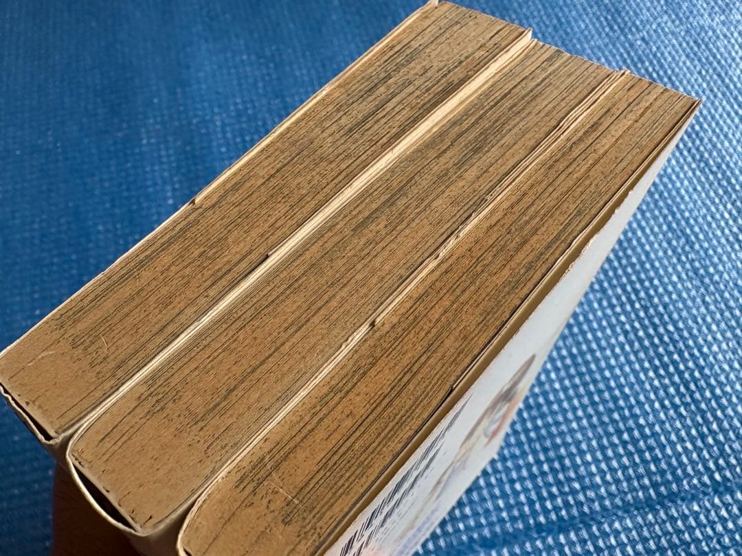 稀少・初版・全巻セット】虹色のウサギ1~3 山口育孝 新潮社 コミック