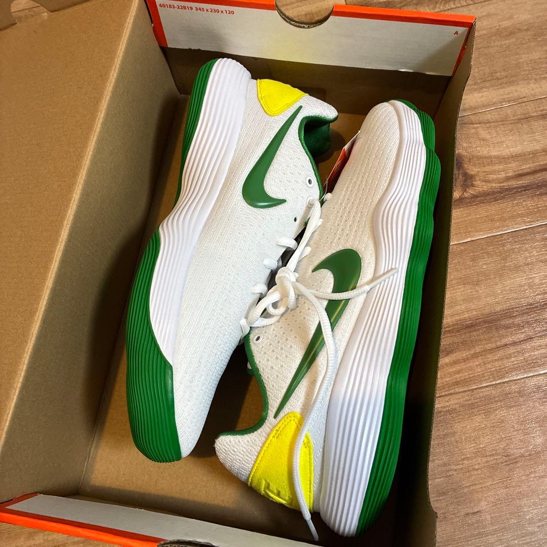 シューズ(男性用) Nike HYPERDUNK 2017 LOW EP 28.5cm