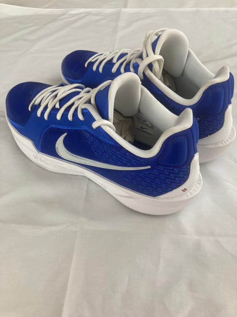 超メルカリ市限定価格！NIKE Sabrina 2 “Dodgers”