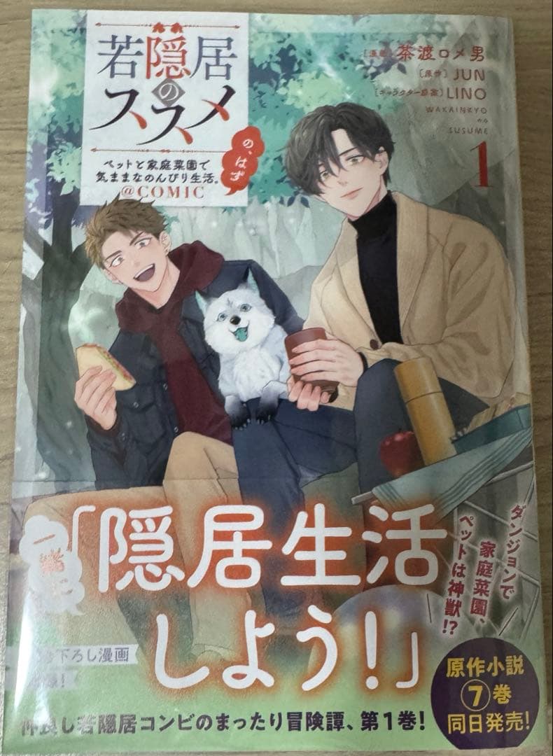 エイミスバジーナ 剣鬼転生 極めし剣は魔術を斬り裂く 他