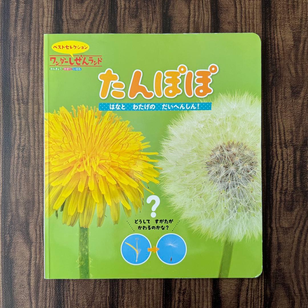 たんぽぽの絵本 キンダーブックしぜん ちいさなかがくのとも なんでも