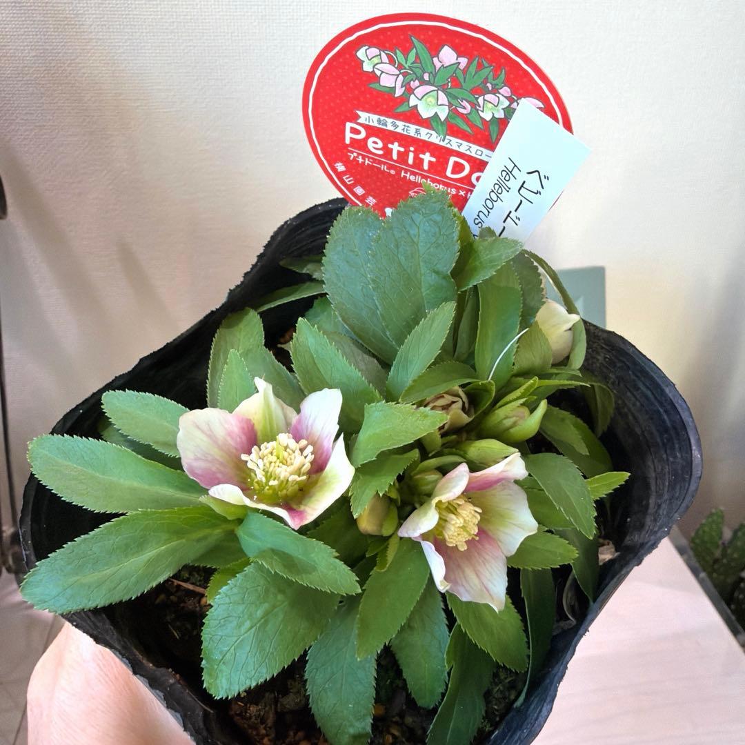 まい様　リクエスト　おまとめ2点