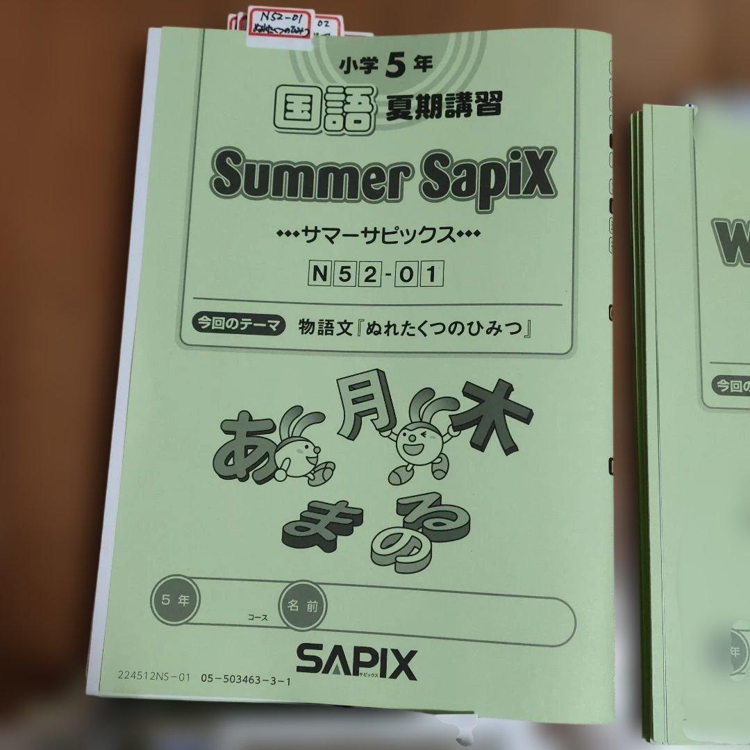 サピックス SAPIX 小学5年1年分 国語 教材セット 欠番 なし 使用済み