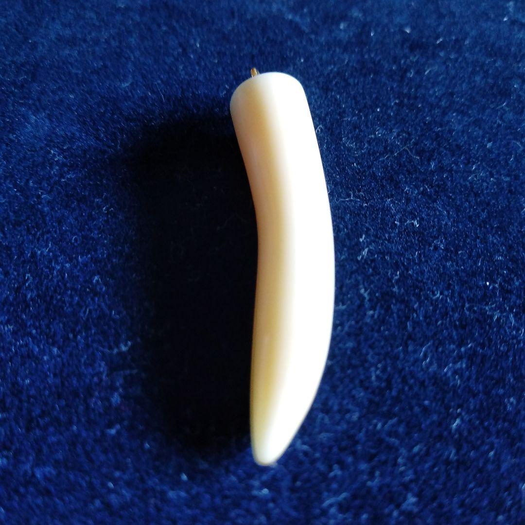 値下げ】鯨歯 マッコウクジラ 牙ペンダントトップ ① - メルカリ