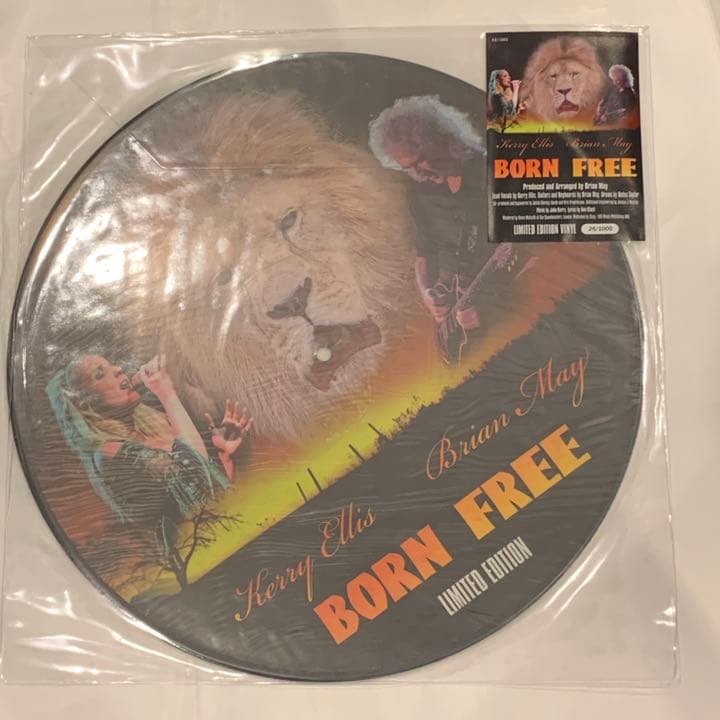 ブライアン メイ　限定ピクチャーディスク　クイーン　Queen クイーンII[SA-CD] - クイーン - UNIVERSAL MUSIC JAPAN