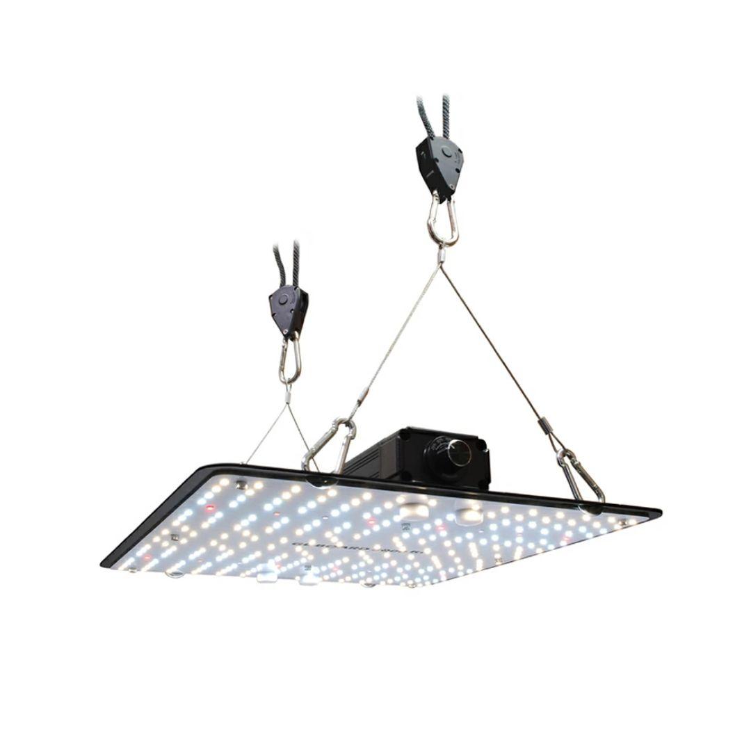 HaruDesign 植物育成LEDライト GL-BOARD 5000 アガベ - メルカリ