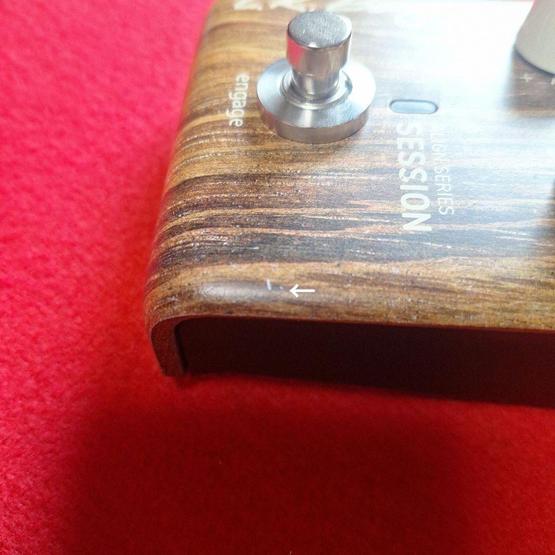 ギター L.R.Baggs ALIGN SERIES SESSION