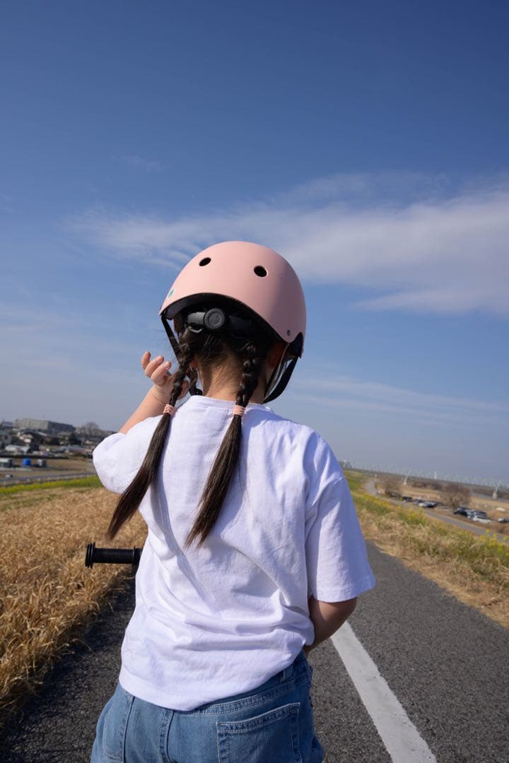 【美品】NIKKOR Z 24-50mm f/4-6.3【純正フード付き】