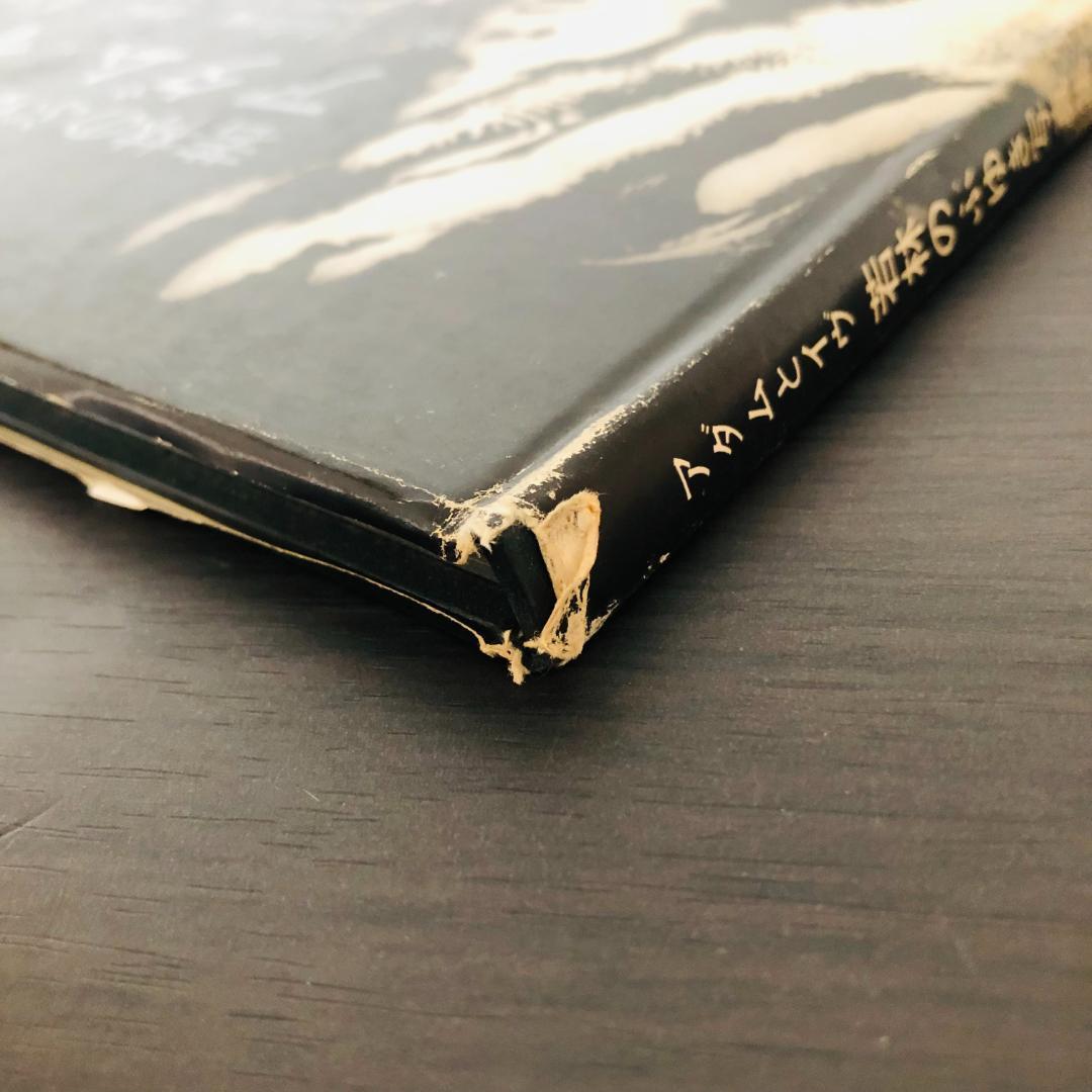 若林のぶゆき 写真集 セット アッ とびだした女たち アダムとイヴ