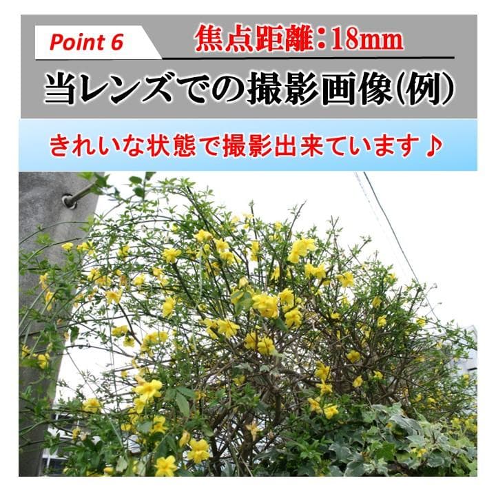 キヤノン レンズ EFS 18-55mm f3.5-5.6 IS Ⅱ #7345