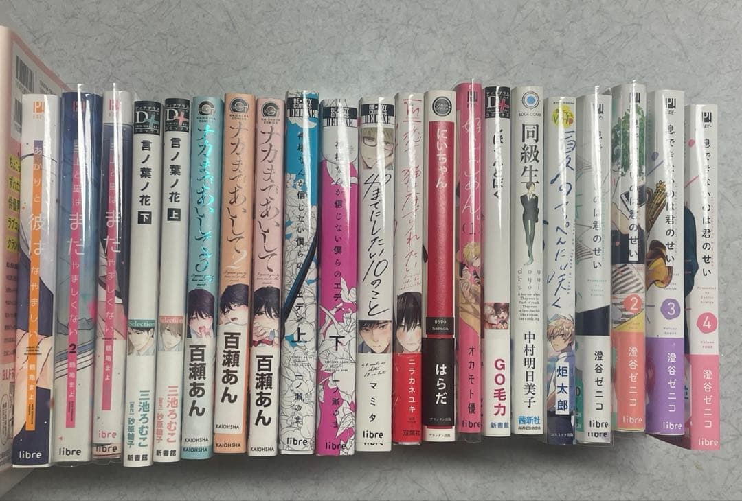 BLコミック 22冊 まとめ売り - メルカリ