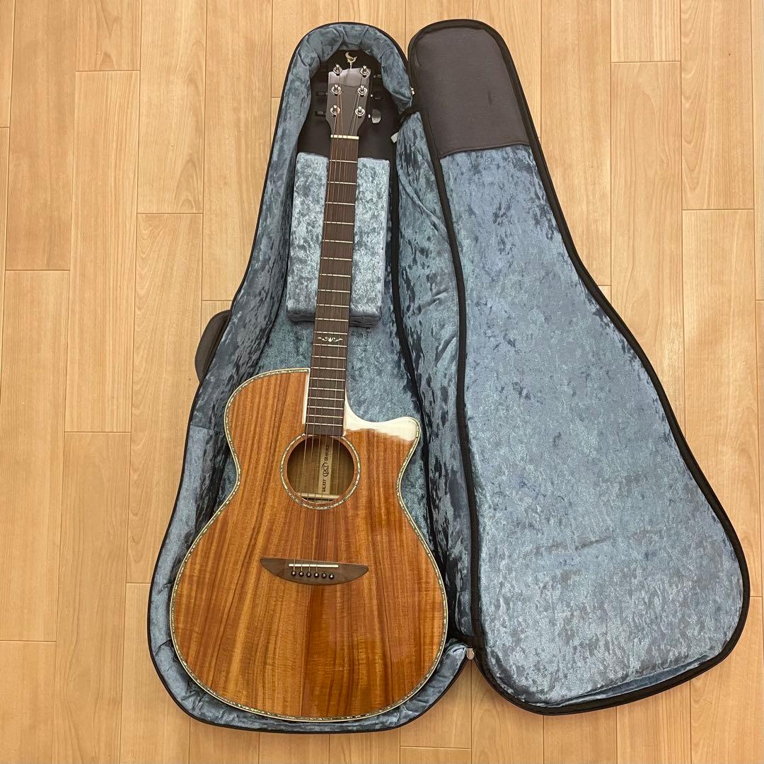 美品/DCT GR-641KCE/エレアコ/ギター/Martinギターケース付き DCT GR-641K CE （新品/送料無料）【楽器検索デジマート】