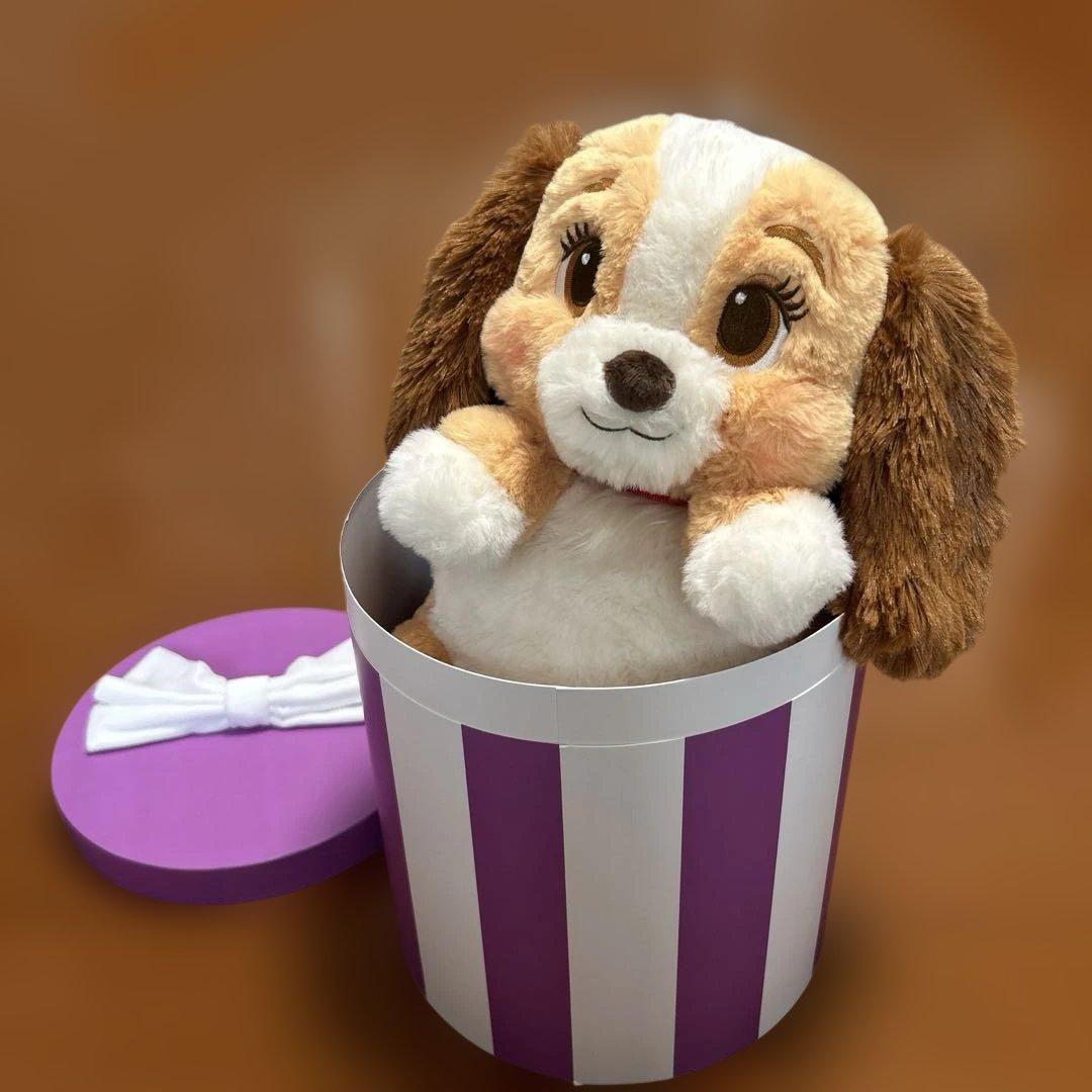 レディ ぬいぐるみ ボックス入り LADY AND THE TRAMP 70TH - メルカリ