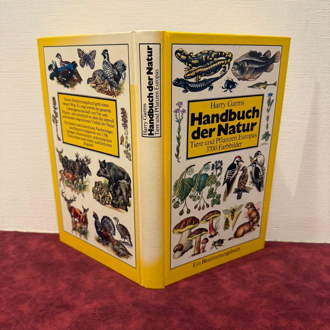 224⑧1982年ドイツ語図鑑 洋書古書 ジャンクジャーナル ボタンニカル