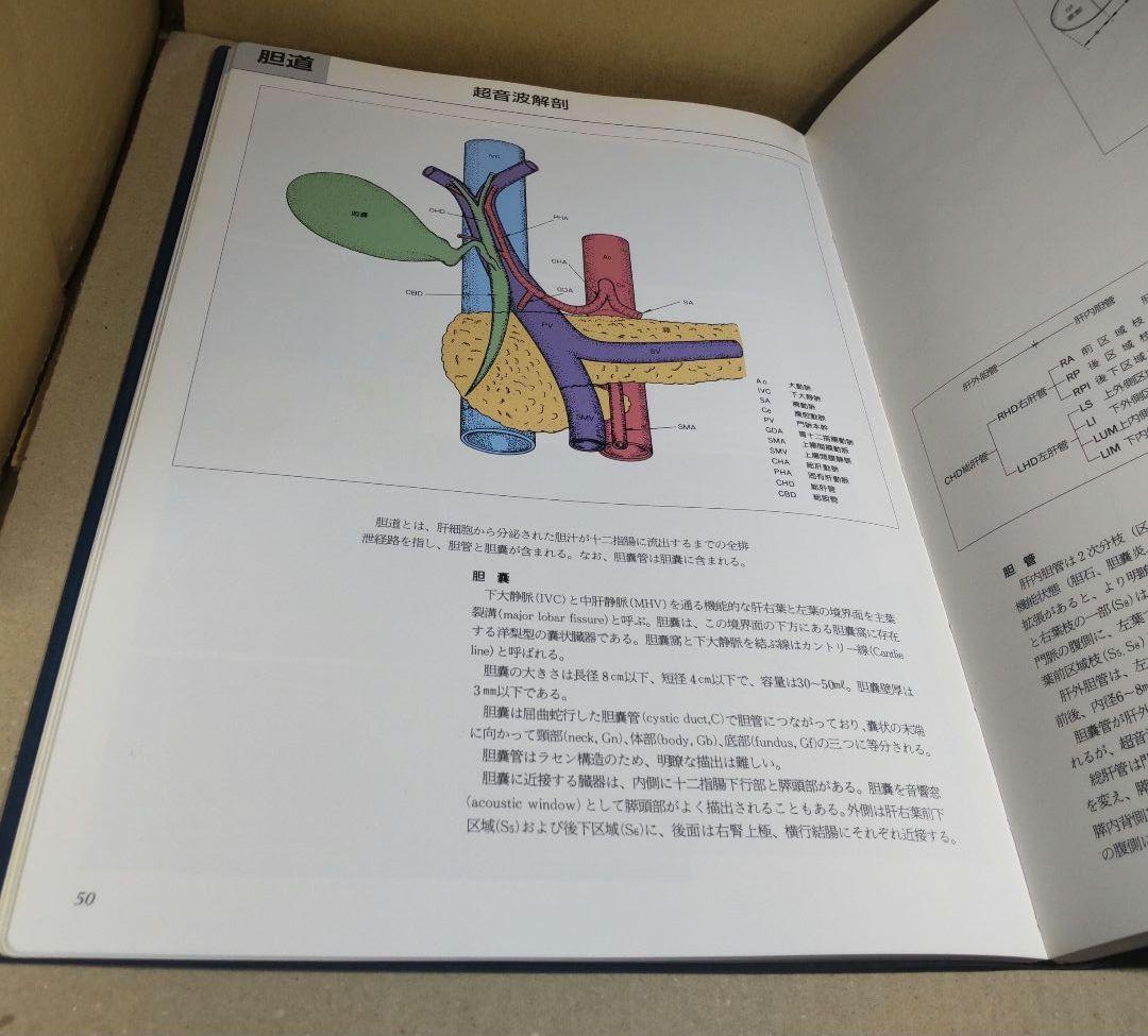 腹部超音波テキスト 上・下腹部 改訂版 ベクトル・コア - メルカリ