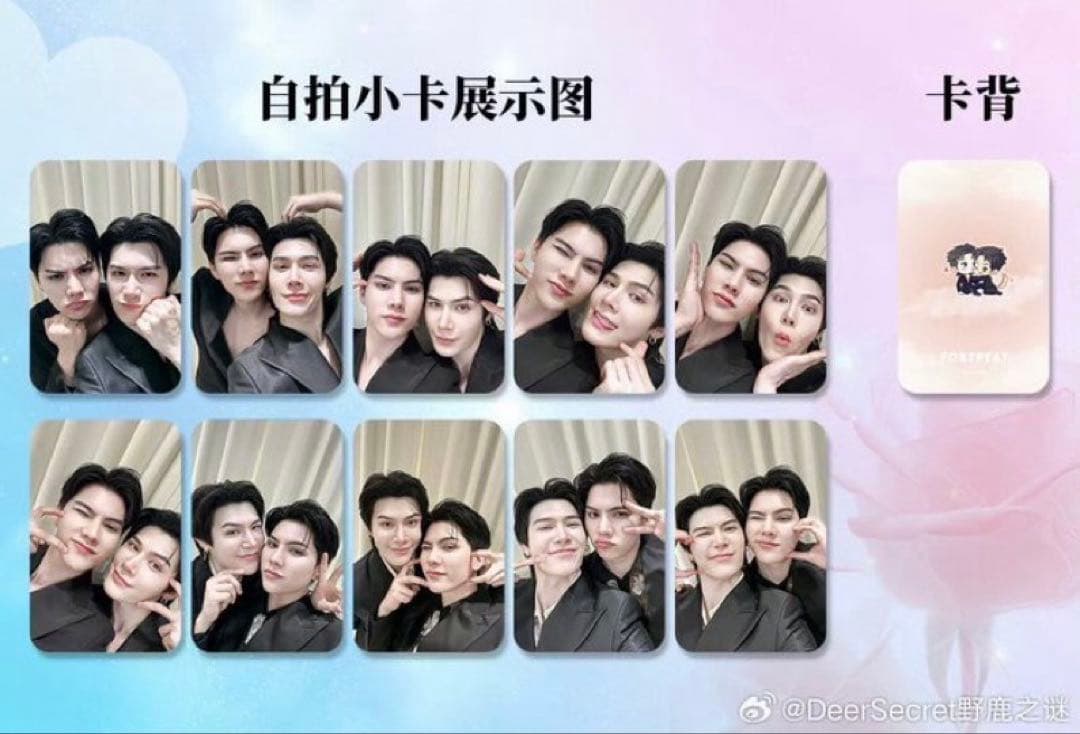 中国イベント Fort fortpeat FortPeat フォトカード - メルカリ