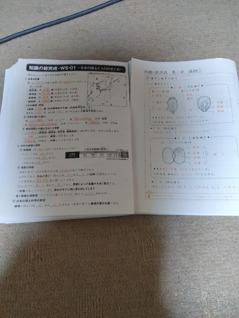 2023 SAPIX ウィークリーサピックス 理科・社会 知識の総完成 赤解答