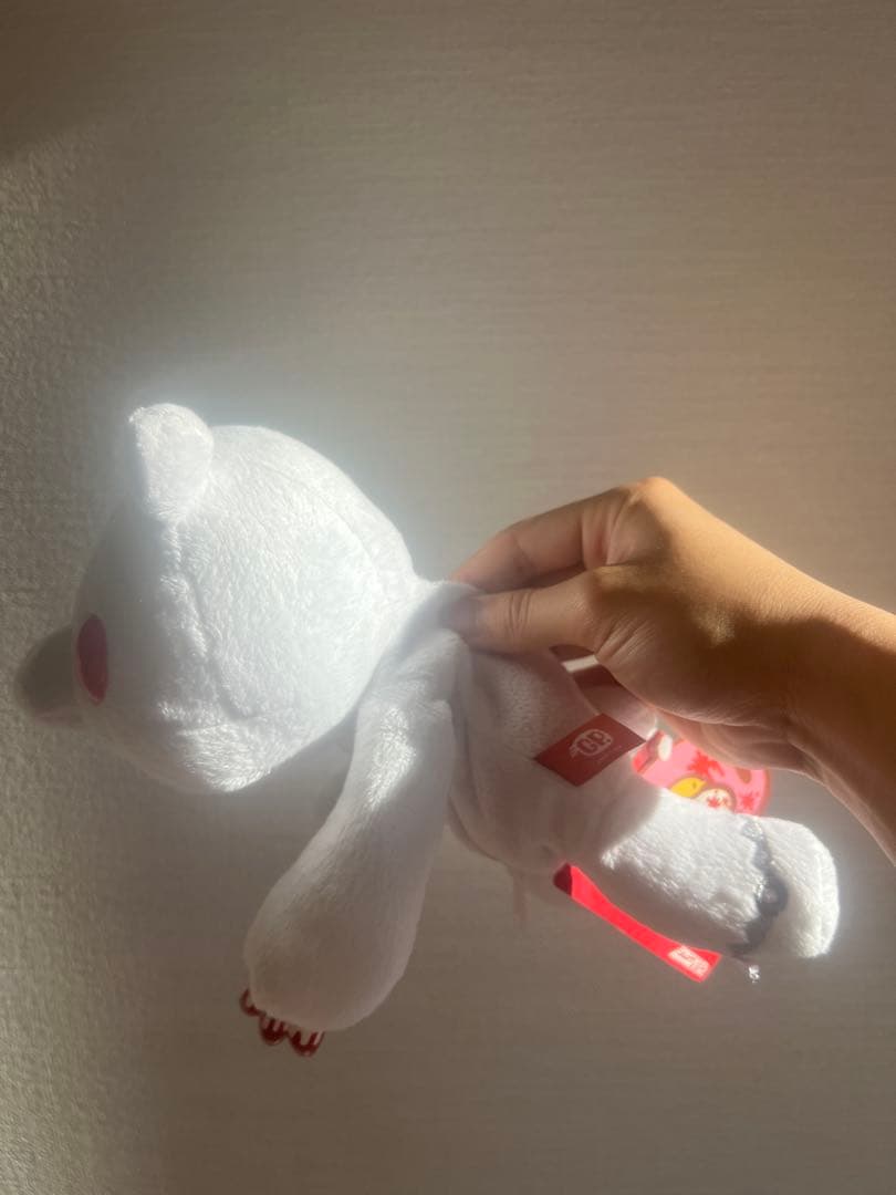 最安値 希少レア チャックスGP グルーミー ペンポーチ（胸腹部IN