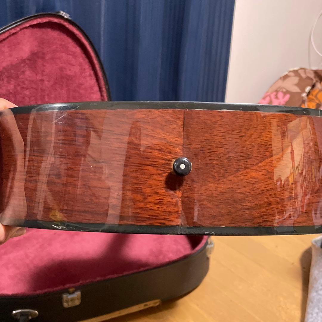 最終値下げ】takamine ギター T-F2TBS ハードケース付き