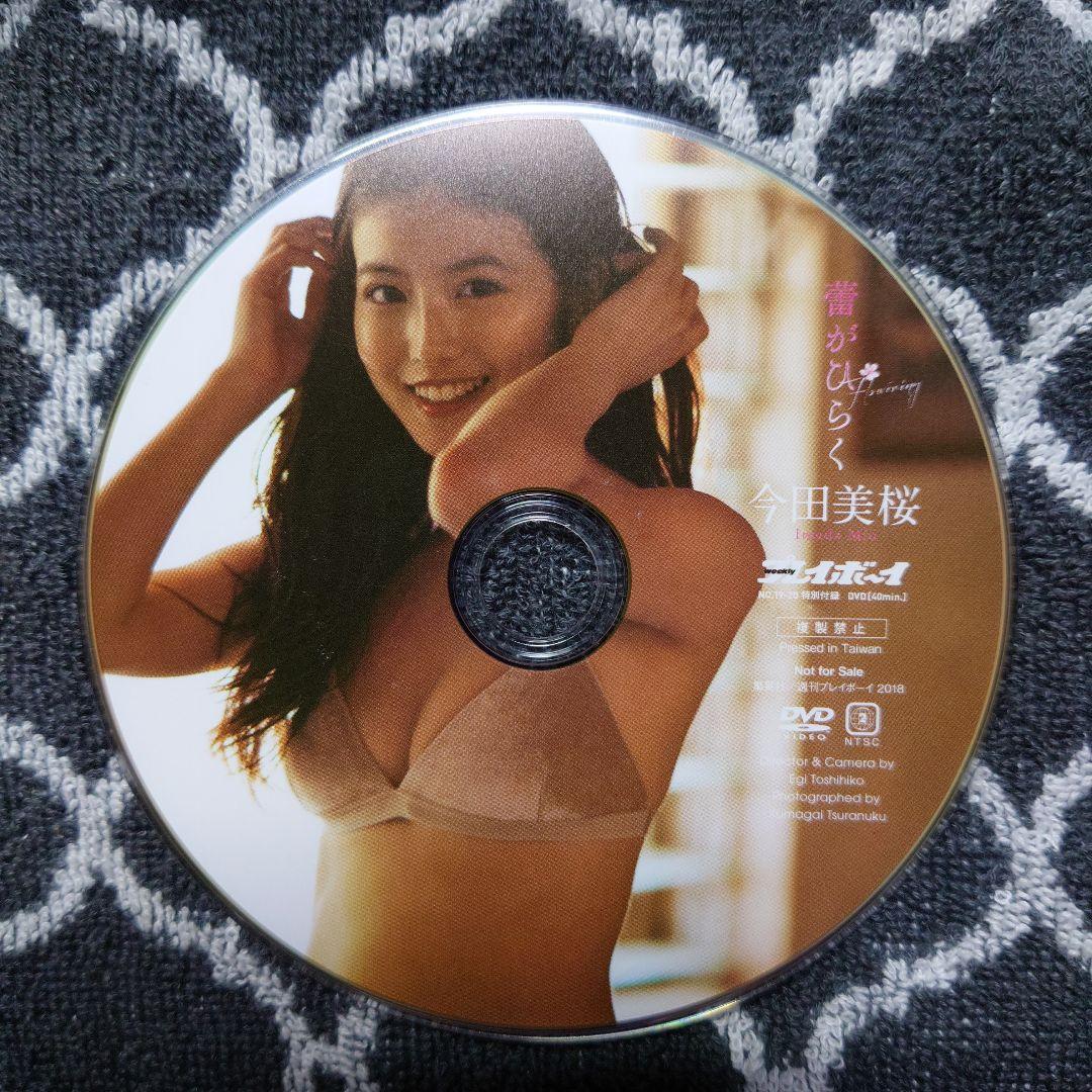 今田美桜/蕾がひらく 週刊プレイボーイ2018年No.19-20 付録DVD - メルカリ