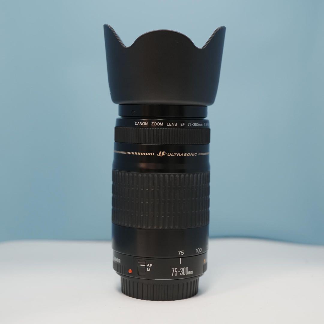 Canon純正 75-300mm 望遠レンズ 美品 a4331